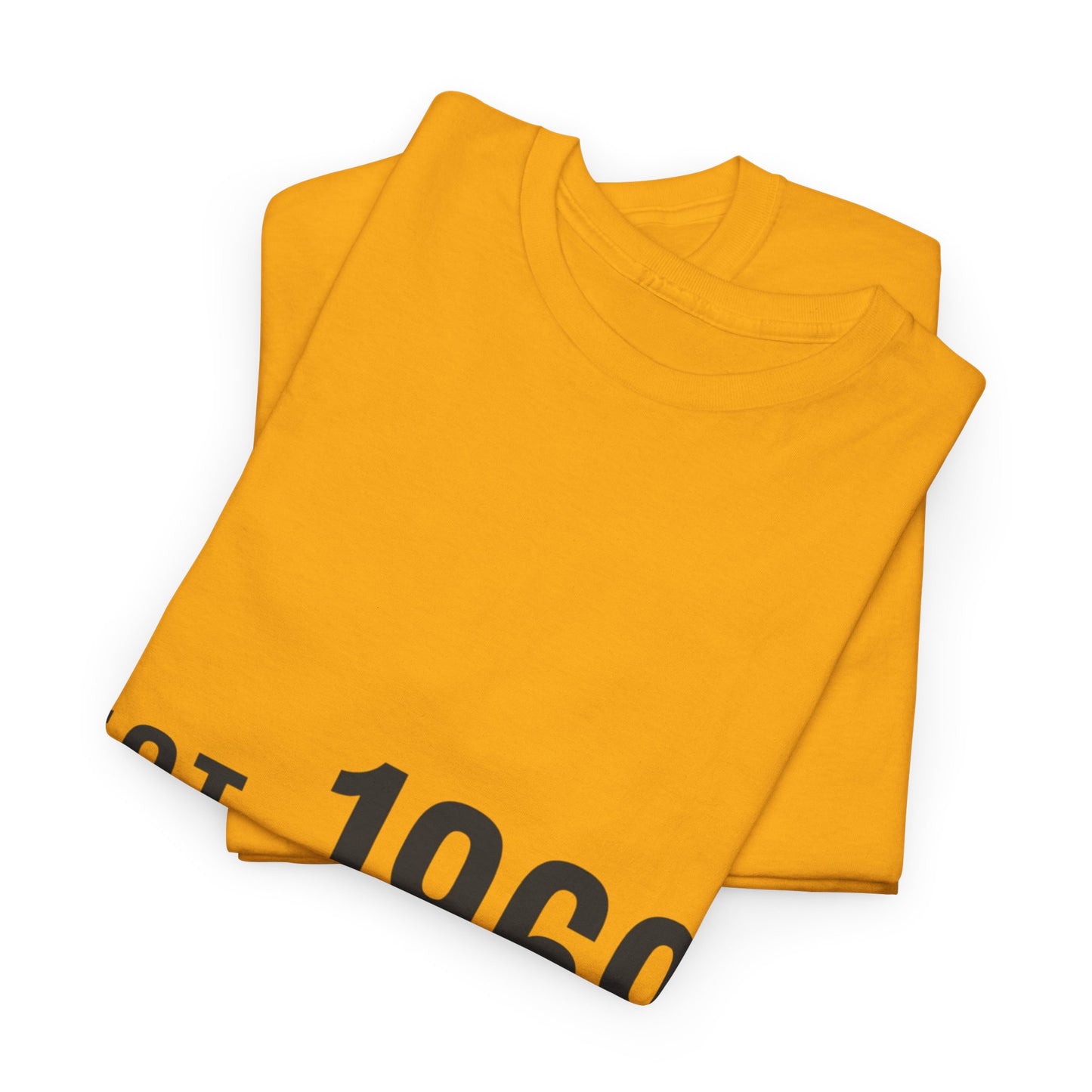 Vintage 1969 Tee
