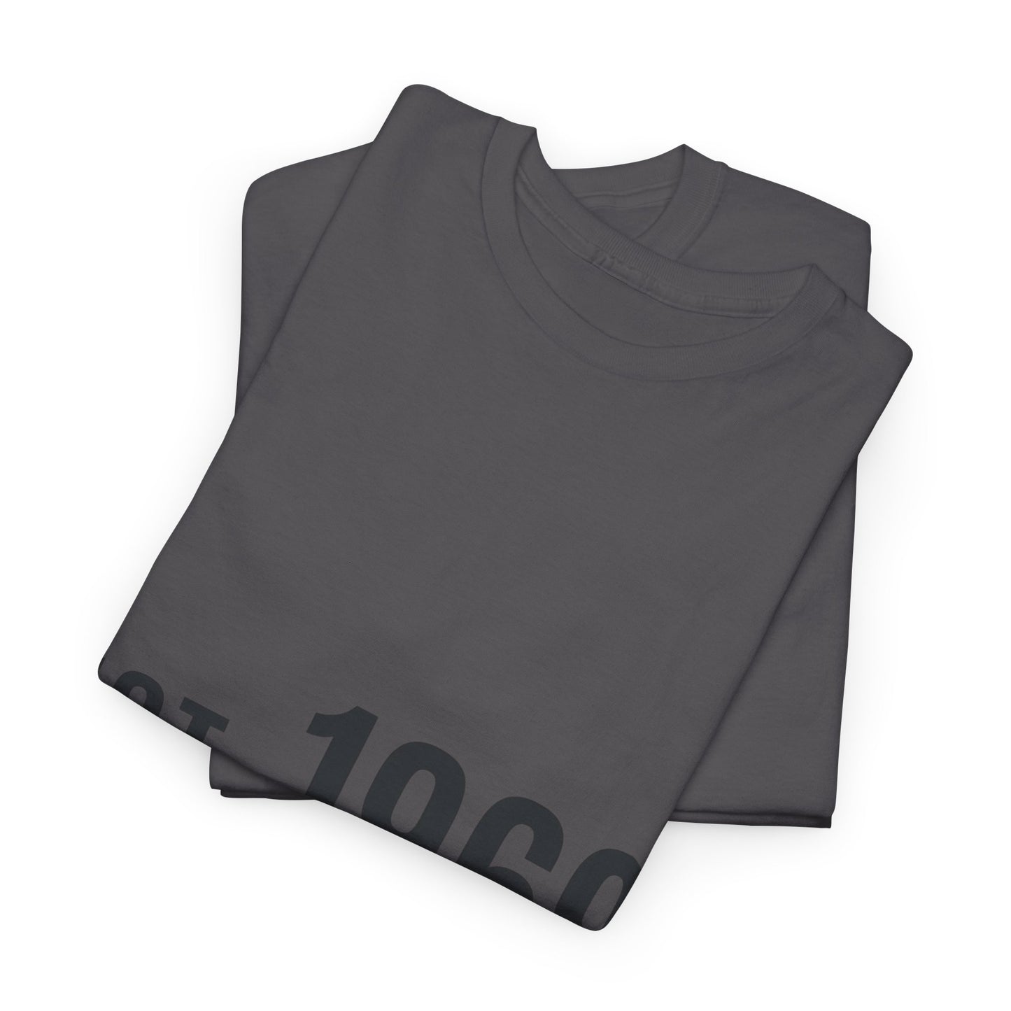 Vintage 1969 Tee