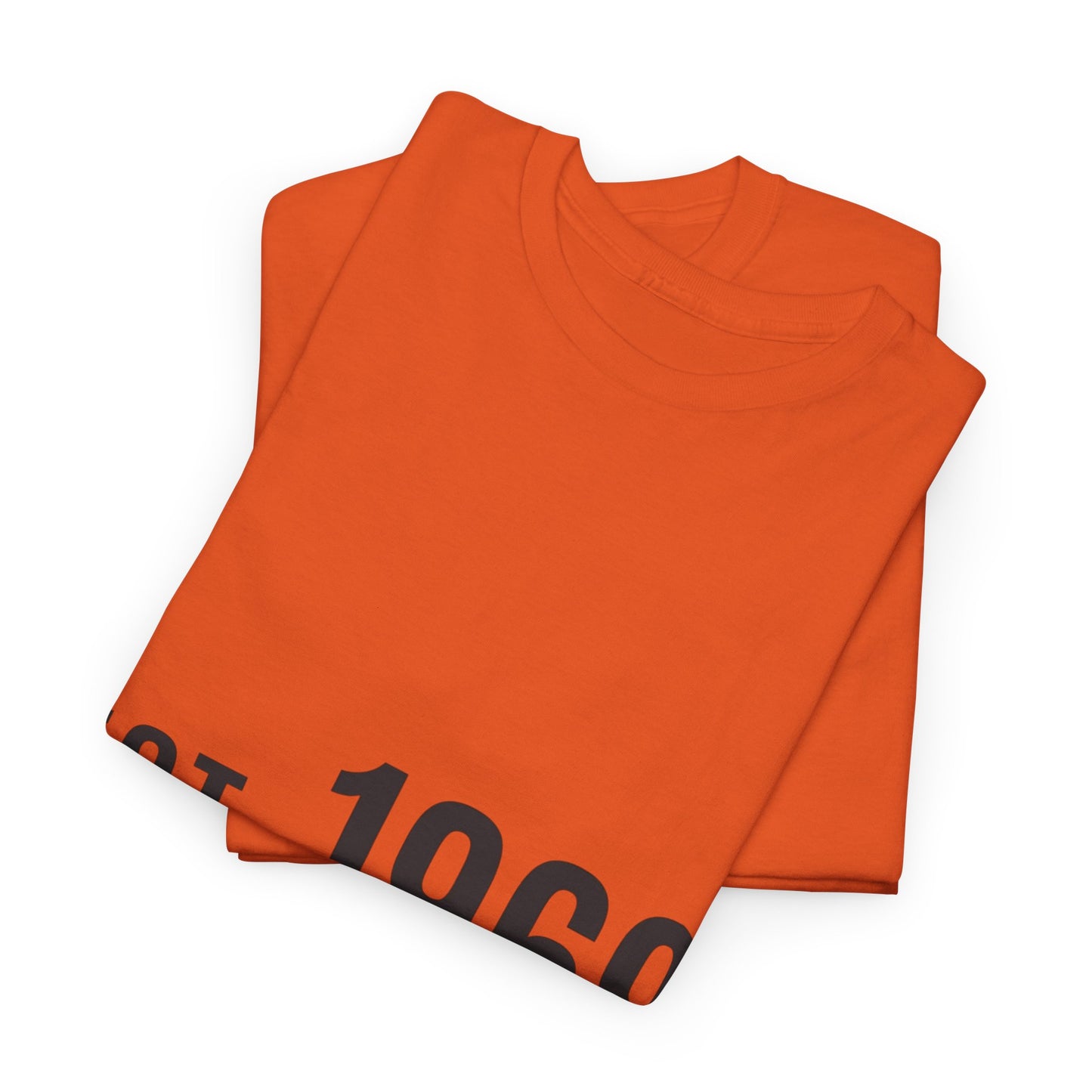 Vintage 1969 Tee