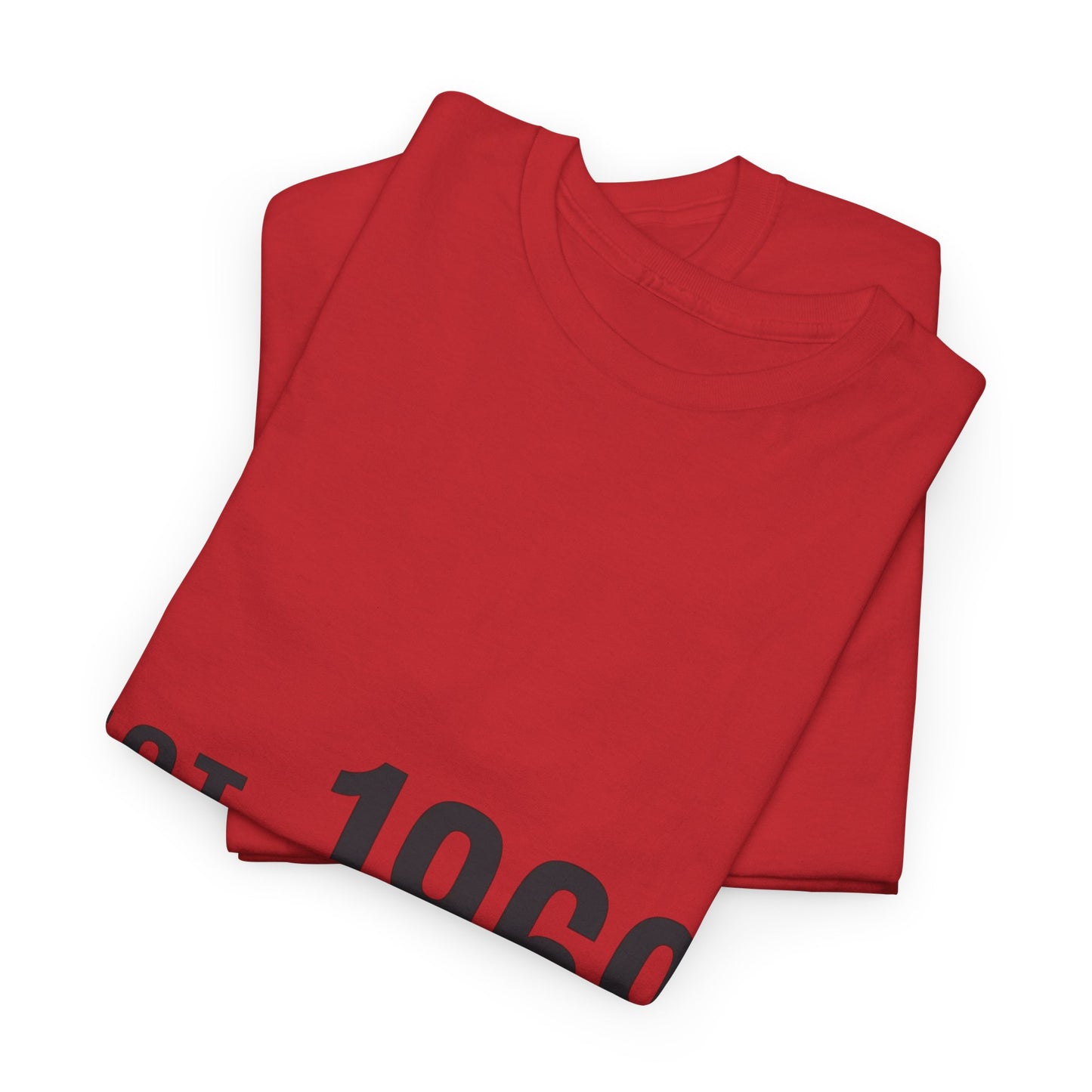 Vintage 1969 Tee